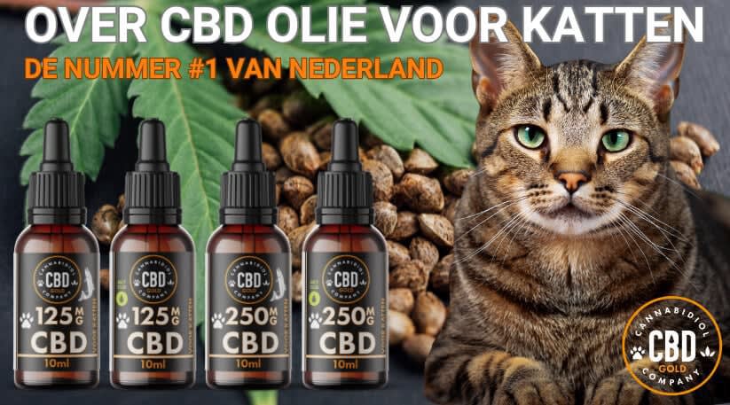 over cbd olie voor katten