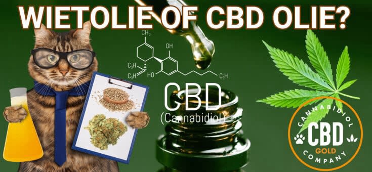 wietolie of cbd olie katten